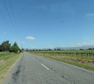 Mit dem Hop on Hop off Bus in der Region unterwegs