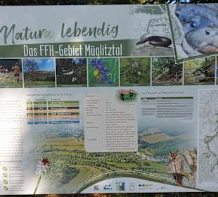 Wildpark Osterzgebirge