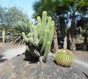 Botanischer Garten Viveiro