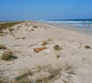 Strandwanderung/Joggen