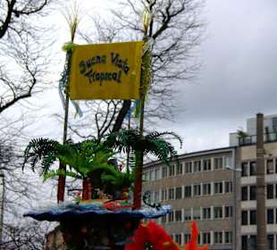 Nürnberger Faschingsumzug 2012