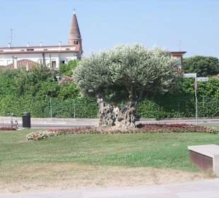Caorle 