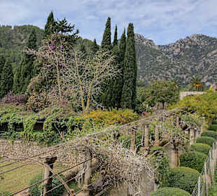 Altstadt Valldemosa/Valldemossa