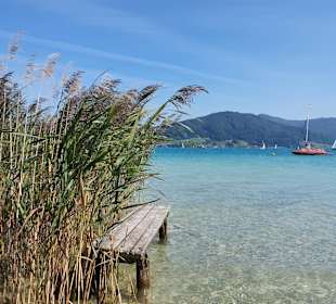 Attersee