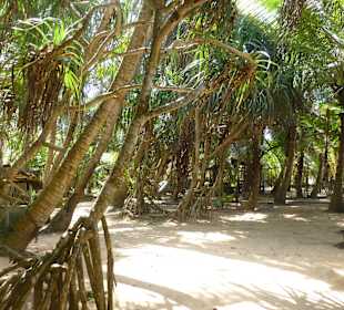 Schildkrötenfarm Bentota