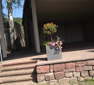 Schlossruine Wildberg