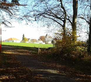 Löffelstelzen