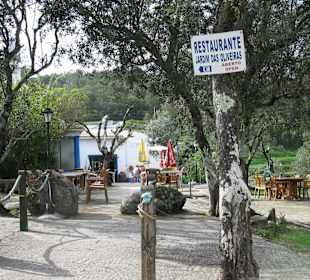 Jardim das Olivairas