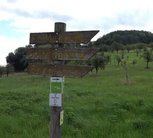 Hochgehnießen - Premiumspazierwanderweg