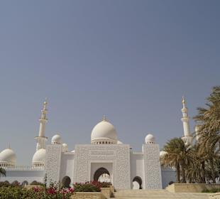 Sheikh Zayed Mosque