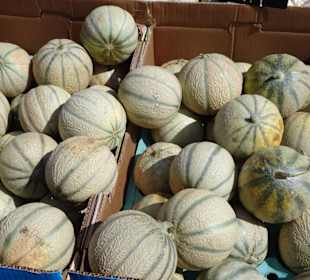 Impressionen vom Wochenmarkt Saint-Cyprien-Plage