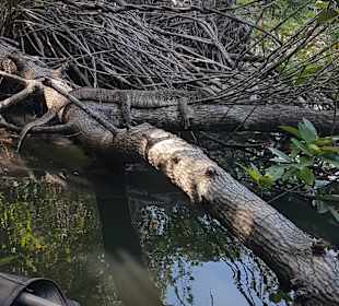 Sri Lanka Harry Tours 