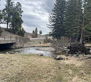 Yellowstone Nationalpark