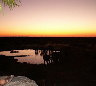 Sonnenuntergang am Wasserloch