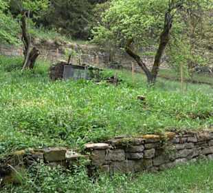 Naturinfopfad Weggental