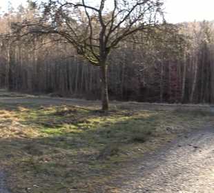 Wanderung rund um den Ochsenweiher