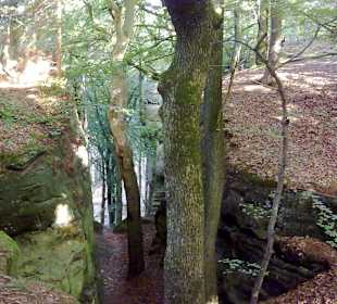 Teufelsschlucht / Müllertal in Luxemburg