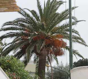 Auf dem Weg zu Arco Naturale