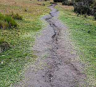 Cotopaxi Nationalpark