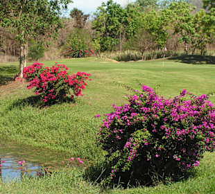 Kaeng Krachan Country Club