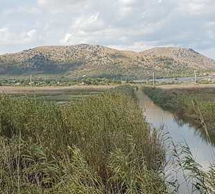 Naturpark S'Albufera