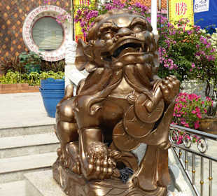 Einer der Pekinglöwen