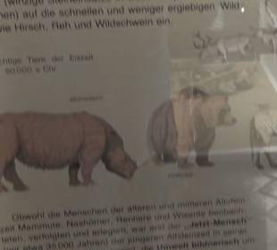 Archäologisches Museum