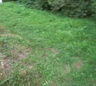 ALB-GOLD Naturgarten