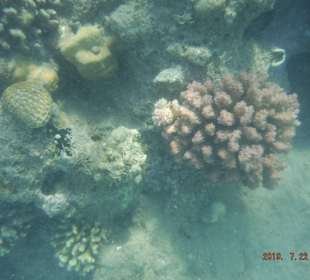 Schnorcheln Hurghada