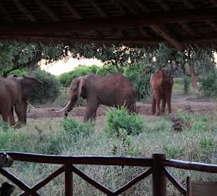 Ausblick beim Frühstück