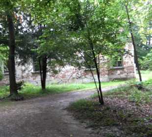 Ruine Magdalenenklause