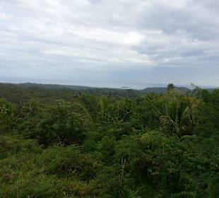 Ausblick beim Anstieg mit Pferd