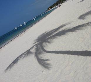 Bavaro , Palmenschatten