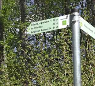 Wanderweg Hochgehwachsen