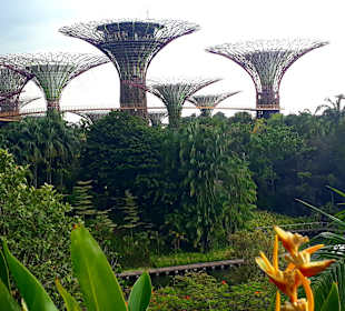 Gardens by the Bay