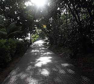 Straße auf der Insel am Morgen