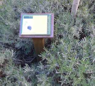 Museum de San Isidro