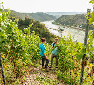 Rundwanderweg Steinbachtalsperre