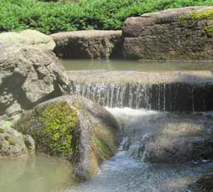 Botanischer Garten Augsburg