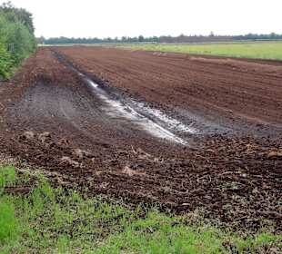 Feld mit maschinellem Torfabbau