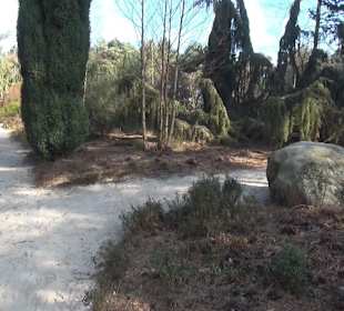 Botanischer Garten - Rombergpark