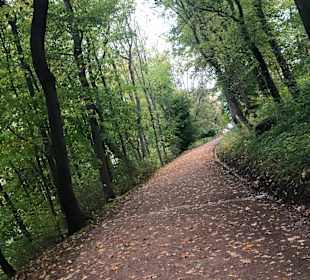 Stadtrundgang Sondershausen