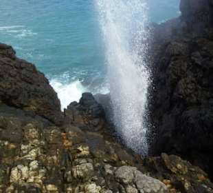 Blow Hole