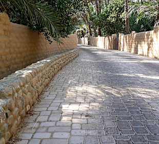 Al Ain Oase