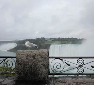 Blick auf beide Fälle