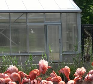 Zoo Heidelberg