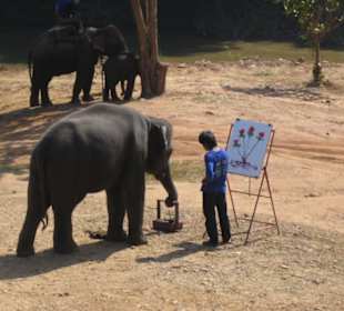 Ein Elefant kann auch mahlen!