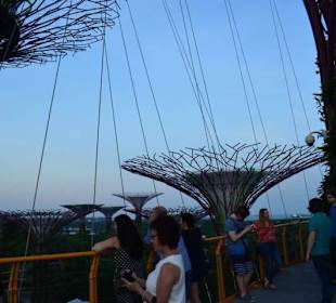 Gardens by the Bay
