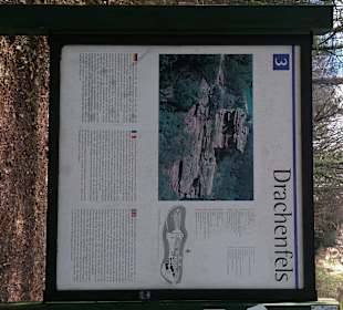 Burgruine Drachenfels Busenberg