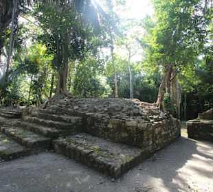 Mayaruine Chaccoben, Costa Maya